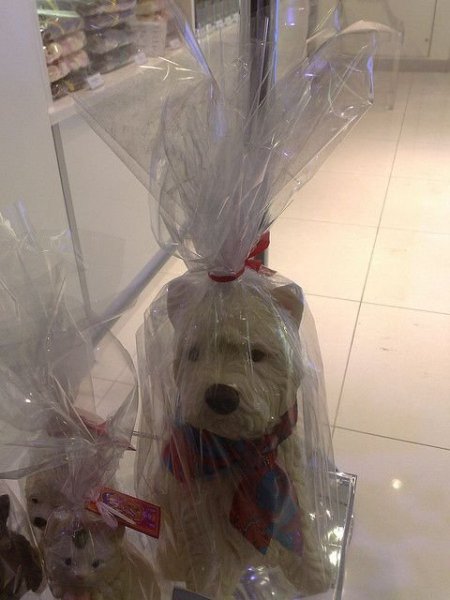 6d4d18c479c92dbb5cde7ae73f1008ce