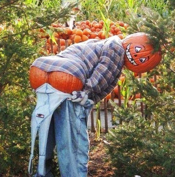 jaime-king-instagram